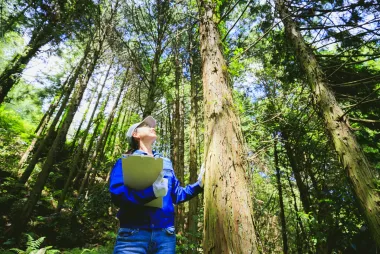 Indigenous Undergraduate Research Mentorship Program