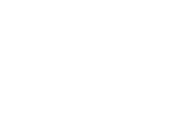 Capital Purchases