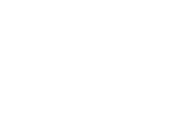 E-IDEAS (EDI Affinity)