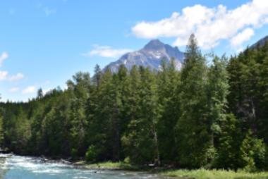River running next to forest of trees and mountains in the background