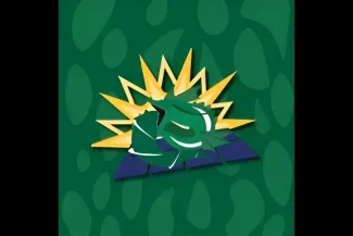 Ogopogo Solar
