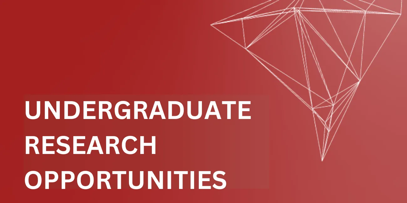 Undergraduate Research Opportunities